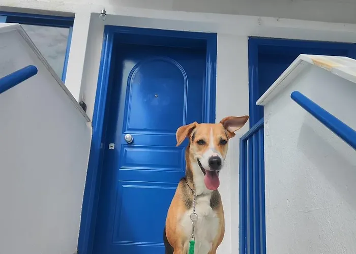 Aranna Διαμέρισμα